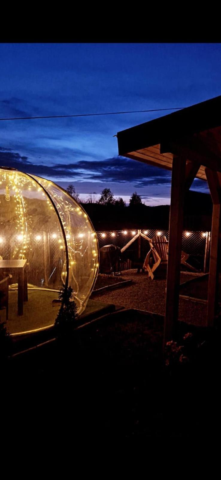 Tiny House Colibita Villa Eksteriør billede
